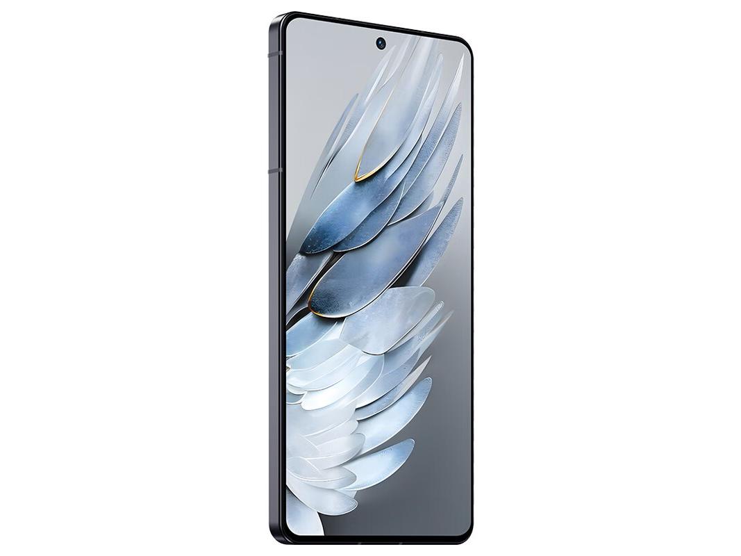  努比亚Z50S Pro 12GB/256GB