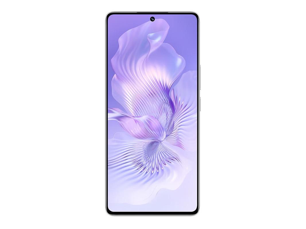 荣耀80 Pro 直屏版  12GB/256GB