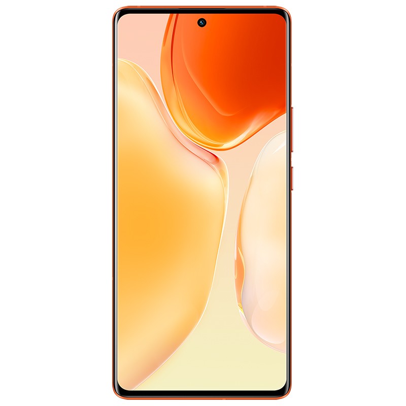 vivo X70 Pro+ 8GB+256GB