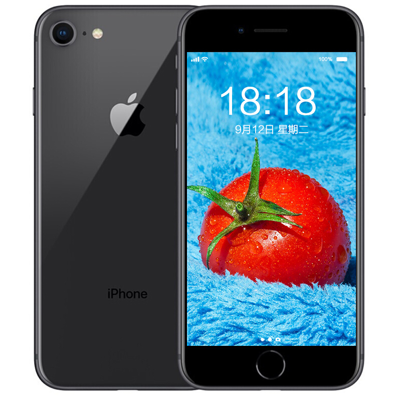 苹果iPhone 8 (A1863)  256GB